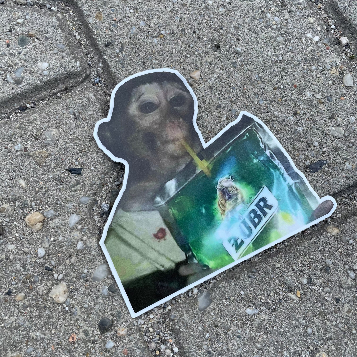 Sticker - MaΕpa z ΕΌubrem