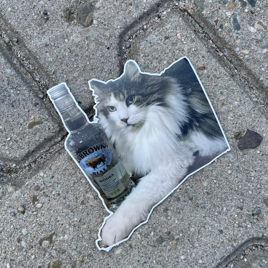 Sticker - Kot wódek